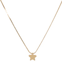 Collier composé d'une chaîne avec un pendentif étoile en acier doré. Fermoir mousqueton avec 5 cm de rallonge.
