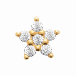 Piercing en plaqué or jaune 18 carats surmonté d'une étoile sertie d'oxydes de zirconium blancs et une tige en titane. Vendu à l'unité.