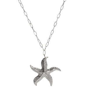Collier composé d'une chaîne et d'un pendentif en forme d'étoile de mer en acier argenté. Fermoir mousqueton avec 5 cm de rallonge.