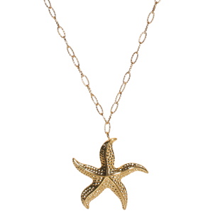 Collier composé d'une chaîne et d'un pendentif en forme d'étoile de mer en acier doré. Fermoir mousqueton avec 5 cm de rallonge.