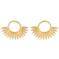 Boucles d'oreilles pendantes composées d'un cercle avec motifs de piques ou plumes en acier 316L doré.