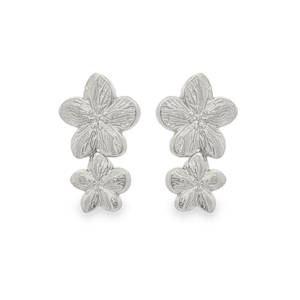 Boucles d'oreilles Acier