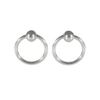 Boucles d'oreilles pendantes en forme de cercle en acier argenté.