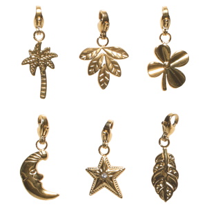 Lot de 6 breloques charm's en forme de fleur, de feuilles, de palmier, de croissant de lune avec visage en acier doré et d'étoile en acier doré serti d'un strass. Concevez vos propres bijoux grâce à nos charm's. Ajoutez-les à vos bracelets ou colliers et apportez votre propre style et votre touche personnelle à vos bijoux.