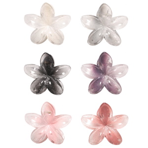 Pince crabe pour cheveux en forme de fleur en plastique de couleur. 6 coloris différents. Vendu à l'unité. Votre préférence en commentaire.