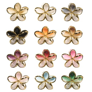 Pince crabe à cheveux en forme de fleur de couleur et transparente avec des contours dorés. 12 modèles différents. Votre préférence en commentaire.