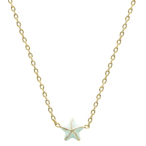 Collier composé d'une chaîne en plaqué or jaune 18 carats et d'un pendentif étoile de mer. Fermoir anneau ressort avec 3 cm de rallonge.